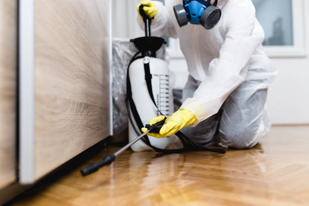 Best Rat Extermination Near Me  in Bluffton, OH
