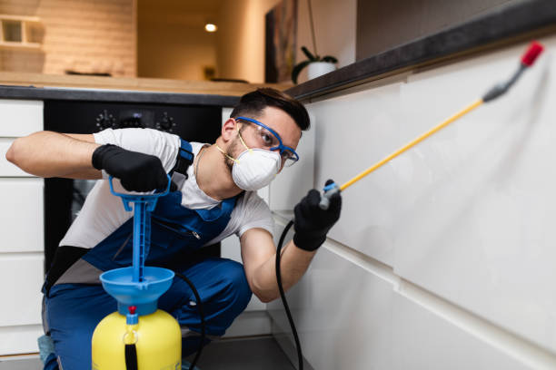 Best Pest Control for Restaurants  in Bluffton, OH