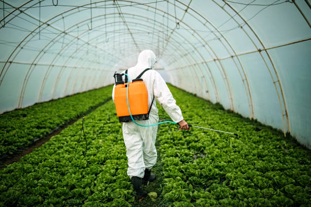 Best Mosquito Control Services  in Bluffton, OH