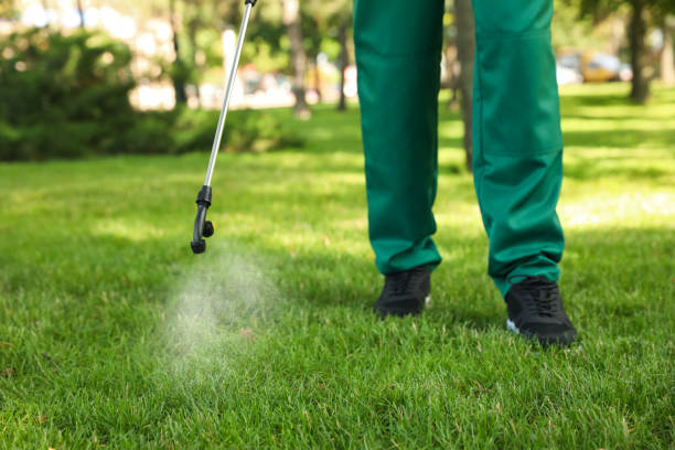 Trusted Bluffton, OH Pest Control Experts