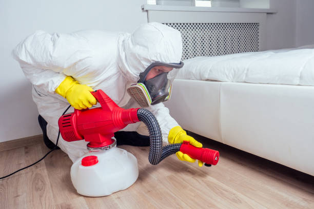 Best Local Pest Control Services  in Bluffton, OH