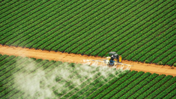 Best Pest Control for Homes  in Bluffton, OH