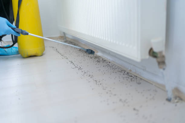 Best Emergency Pest Control  in Bluffton, OH