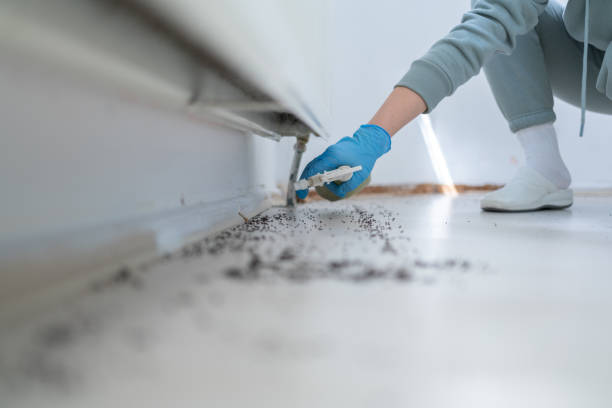 Best Pest Inspection Near Me  in Bluffton, OH